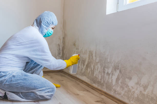 Licensed Commercial Mold Remediation service in Manchester, WA - WQB Mold Removal