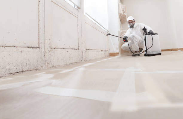 24/7 Emergency Commercial Mold Remediation experts in Manchester, WA