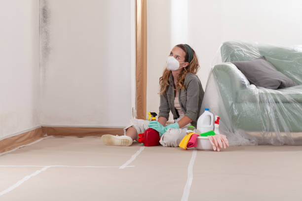 Reliable Commercial Mold Remediation contractor in Manchester, WA by WQB Mold Removal