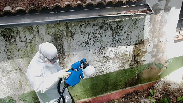 Top rated local Commercial Mold Remediation specialists in Manchester, WA